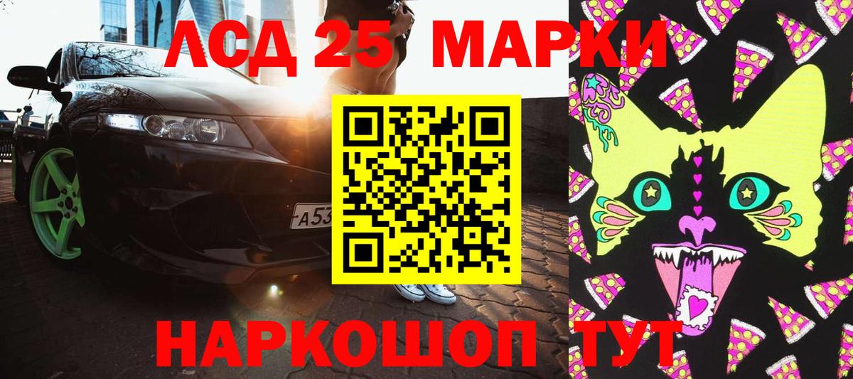 APVP Дагестанские Огни